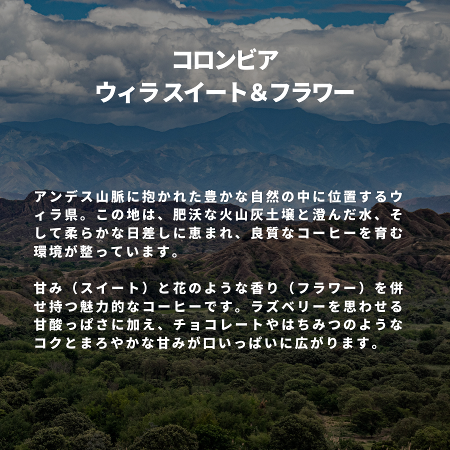 コロンビア ウィラ スイート＆フラワー