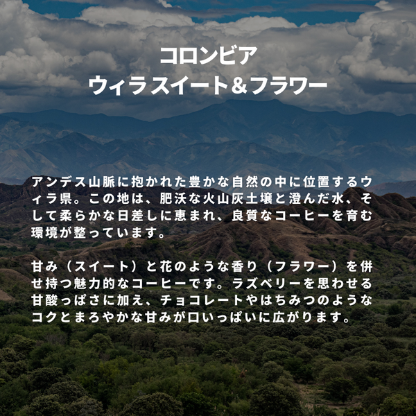 コロンビア ウィラ スイート＆フラワー