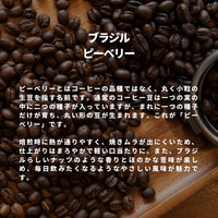 ブラジル ピーベリー