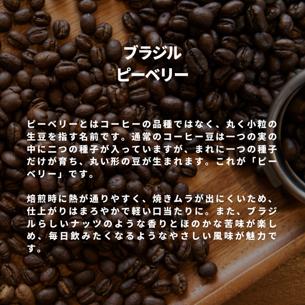 ブラジル ピーベリー