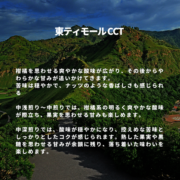 東ティモール CCT