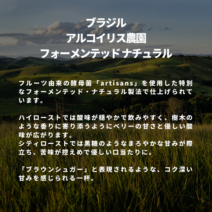 ブラジル アルコイリス農園 フォーメンテッド ナチュラル