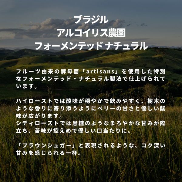 ブラジル アルコイリス農園 フォーメンテッド ナチュラル