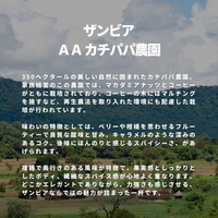 ザンビア ＡＡ カチパパ農園