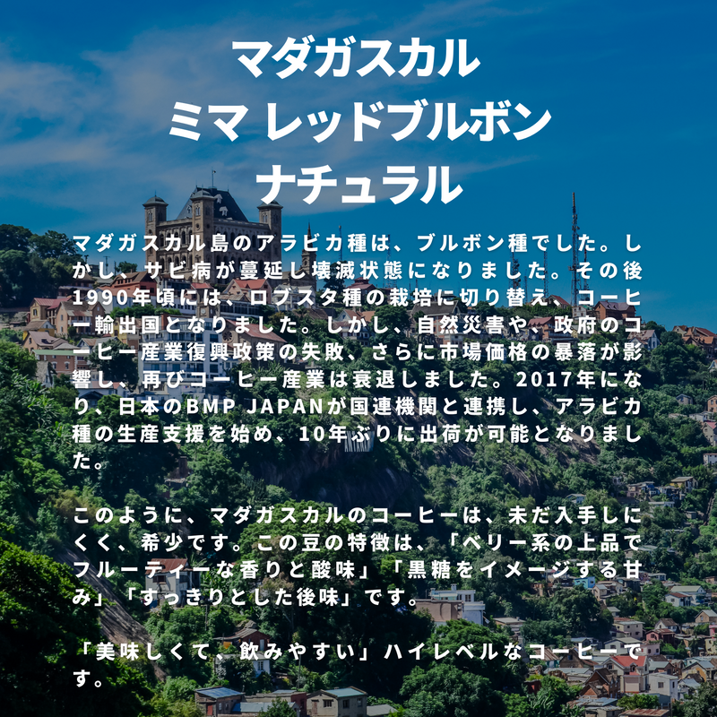 マダガスカル ミマ レッドブルボン ナチュラル