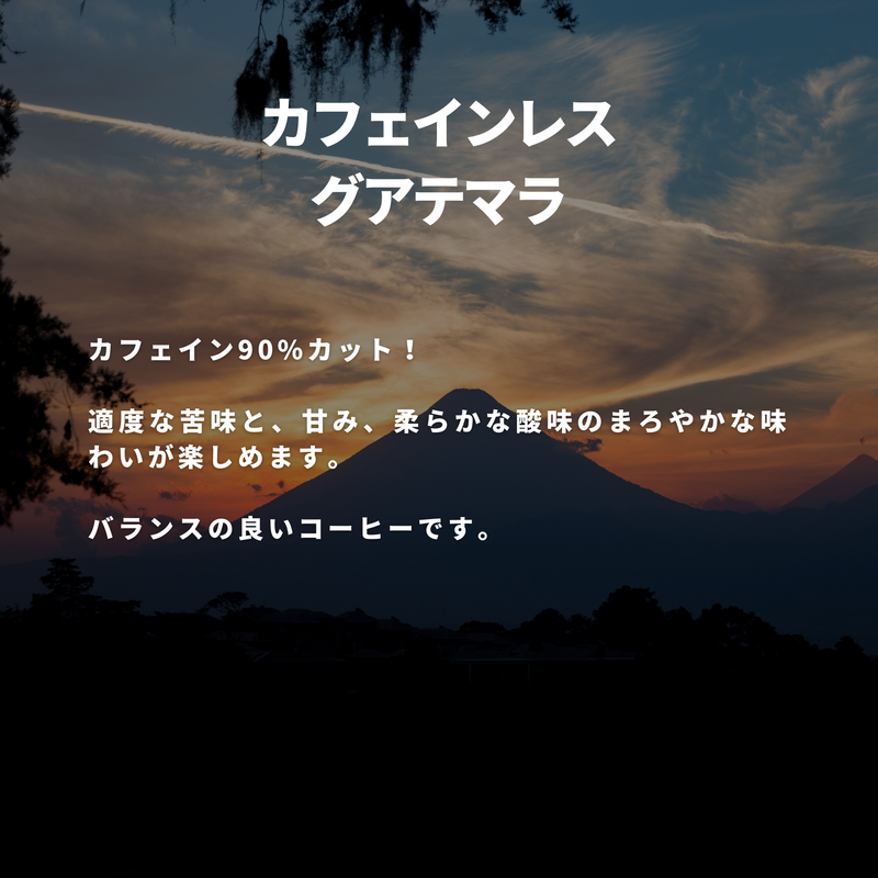 カフェインレス グアテマラ