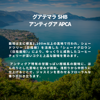 グアテマラ SHB アンティグア APCA