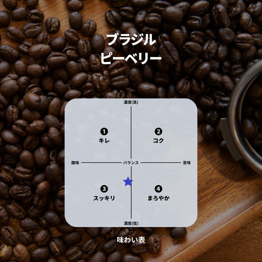 ブラジル ピーベリー