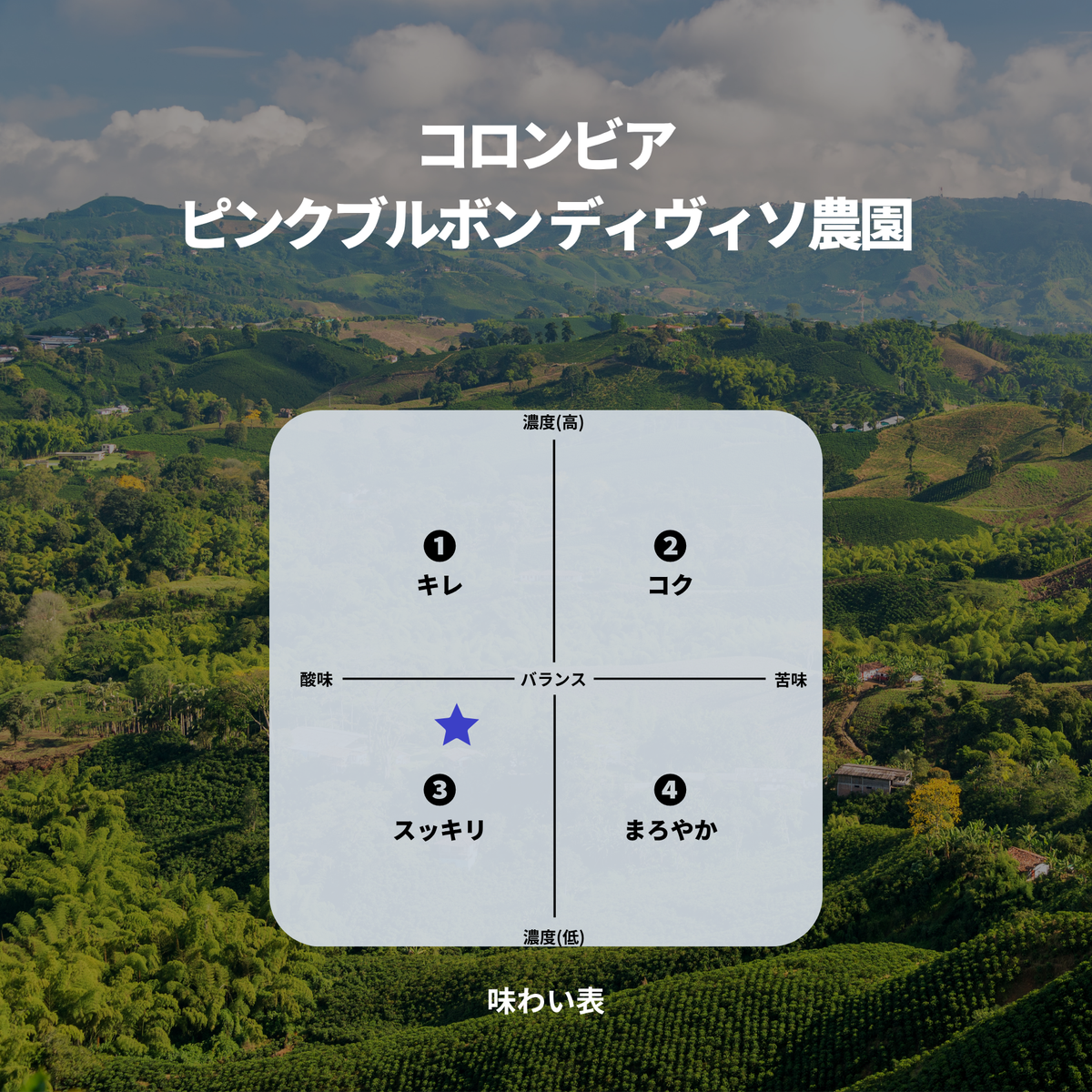 コロンビア ピンクブルボン ディヴィソ農園