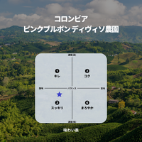 コロンビア ピンクブルボン ディヴィソ農園