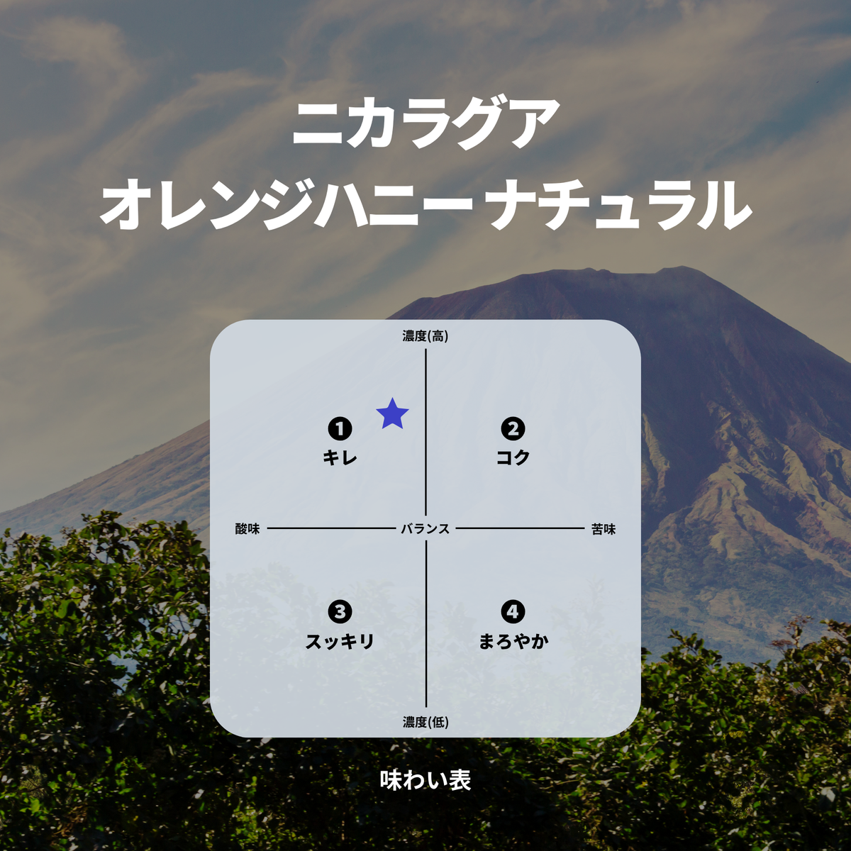 ニカラグア オレンジハニー ナチュラル