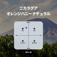 ニカラグア オレンジハニー ナチュラル