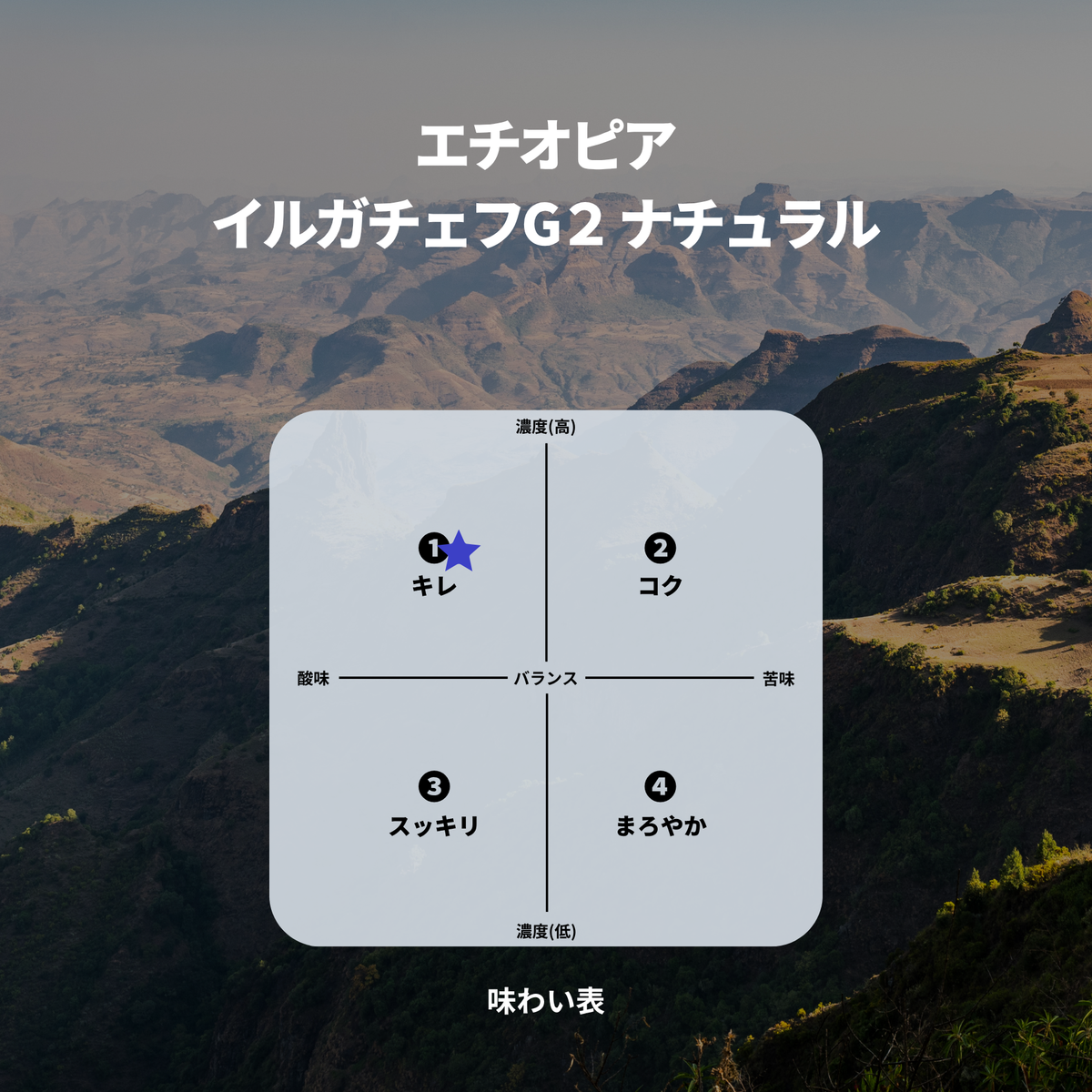 エチオピア イルガチェフG２ ナチュラル