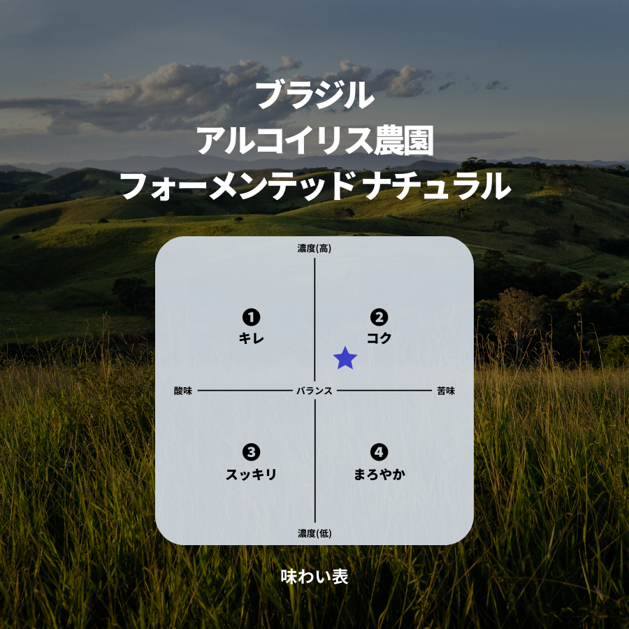 ブラジル アルコイリス農園 フォーメンテッド ナチュラル