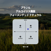 ブラジル アルコイリス農園 フォーメンテッド ナチュラル