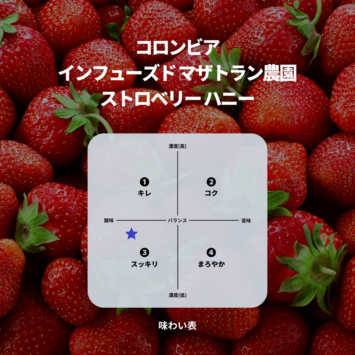 コロンビア インフューズド マザトラン農園 ストロベリー ハニー
