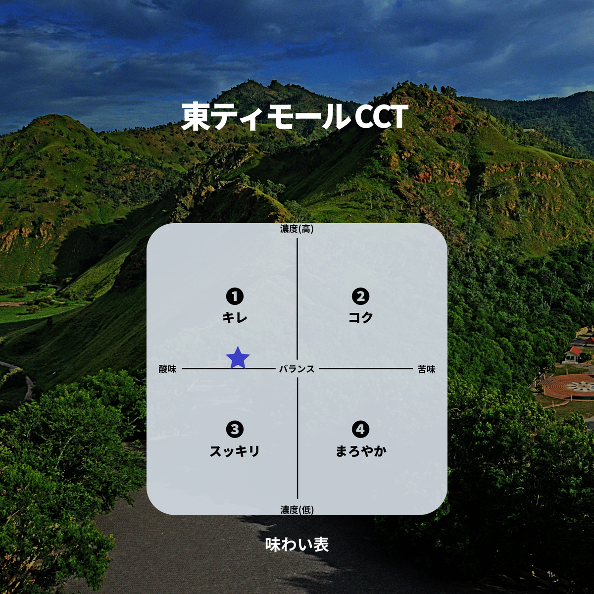 東ティモール CCT