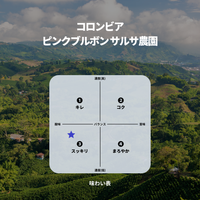 コロンビア ピンクブルボン サルサ農園