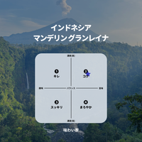 インドネシア マンデリン グランレイナ