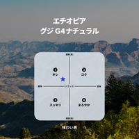 エチオピア グジG4ナチュラル