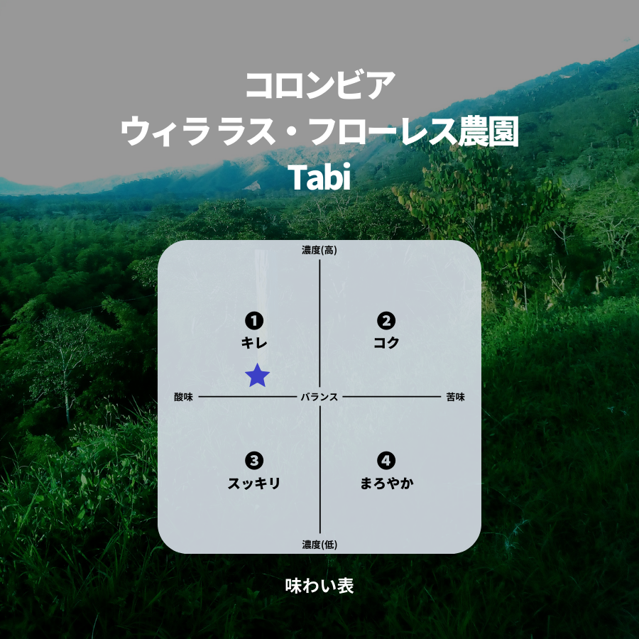 コロンビア ウィラ ラス・フローレス農園 Tabi