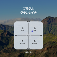 ブラジル グランレイナ