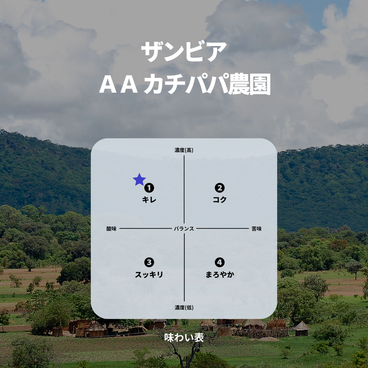 ザンビア ＡＡ カチパパ農園