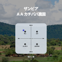 ザンビア ＡＡ カチパパ農園