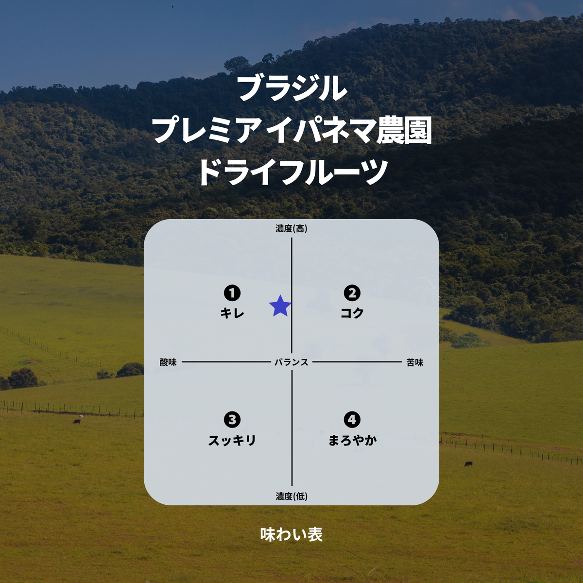 ブラジル プレミア イパネマ農園 ドライフルーツ