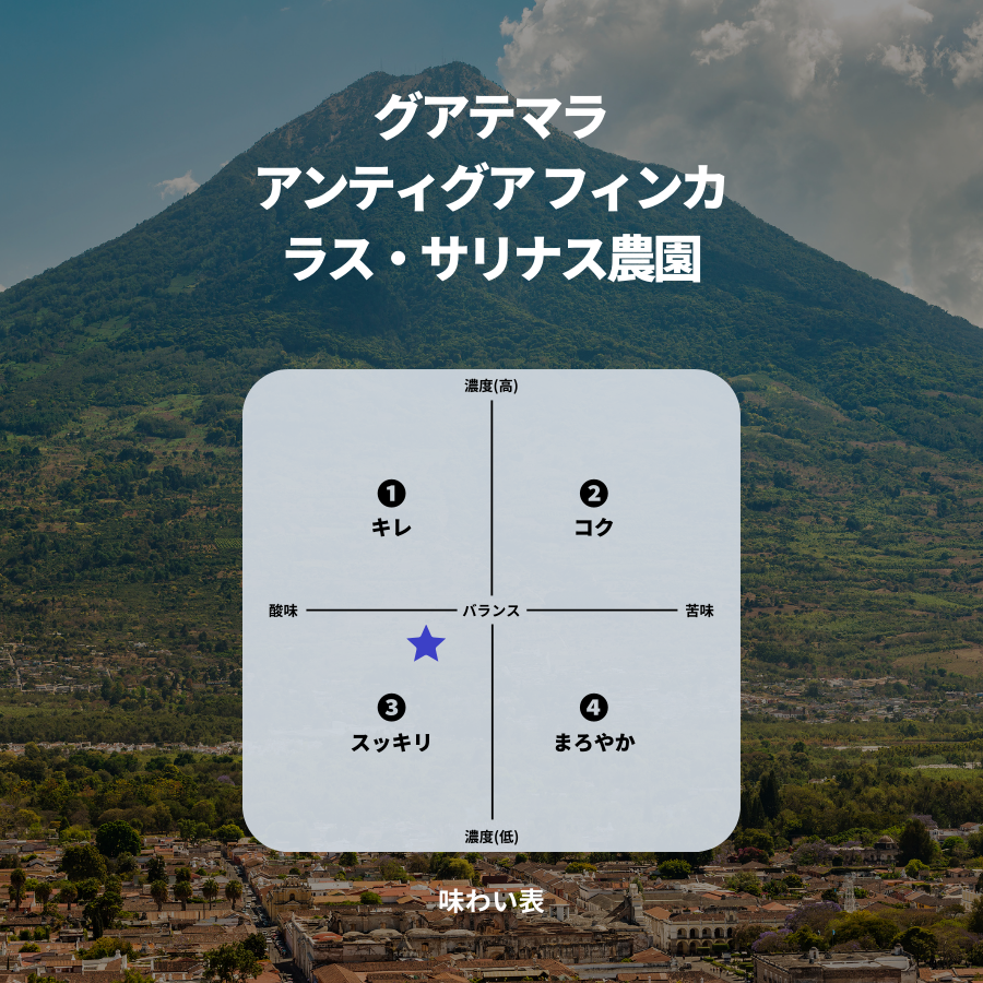 グアテマラ アンティグア フィンカ ラス・サリナス農園