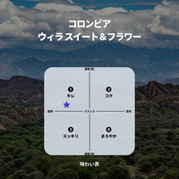 コロンビア ウィラ スイート＆フラワー
