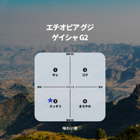 エチオピア グジ ゲイシャ G2