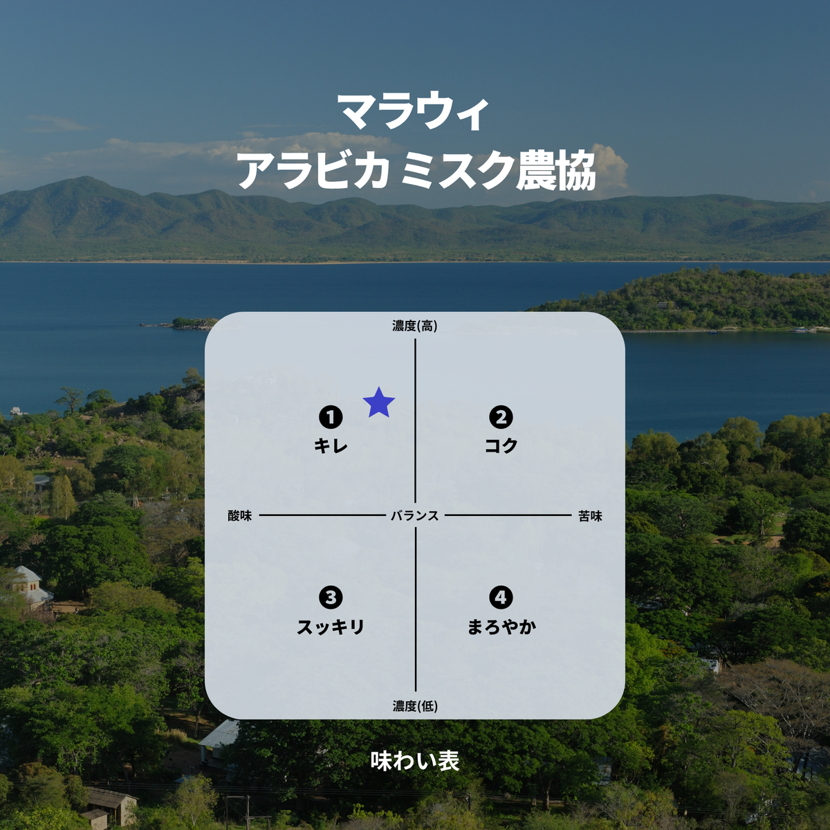 マラウィ アラビカ ミスク農協