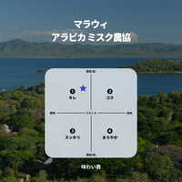 マラウィ アラビカ ミスク農協