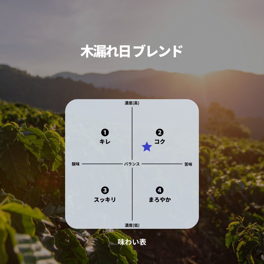 木漏れ日 ブレンド
