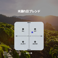 木漏れ日 ブレンド