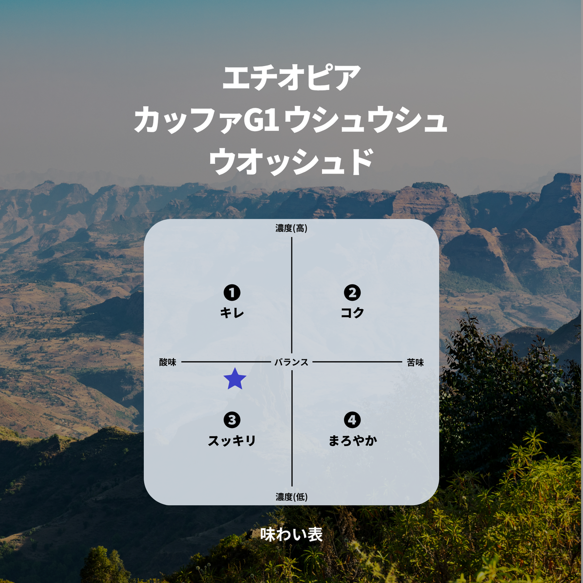 エチオピア カッファG1 ウシュウシュ ウオッシュド