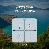 グアテマラ SHB アンティグア APCA