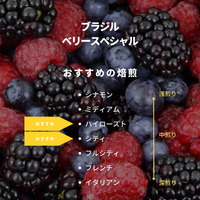 ブラジル　ベリースペシャル
