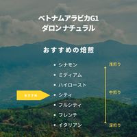 ベトナム アラビカG1  ダロン ナチュラル