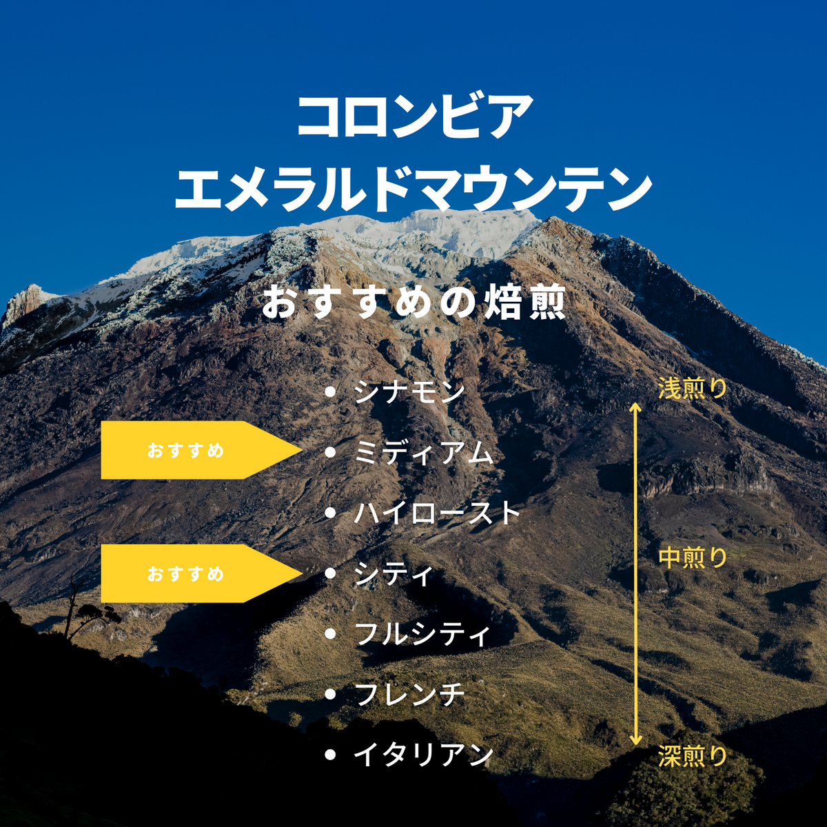コロンビア エメラルドマウンテン – 焙煎工房てんぷす コロンビア エメラルドマウンテン – 焙煎工房てんぷす