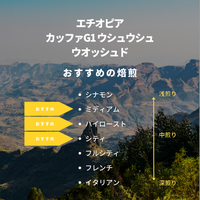 エチオピア カッファG1 ウシュウシュ ウオッシュド