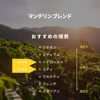 木漏れ日 ブレンド