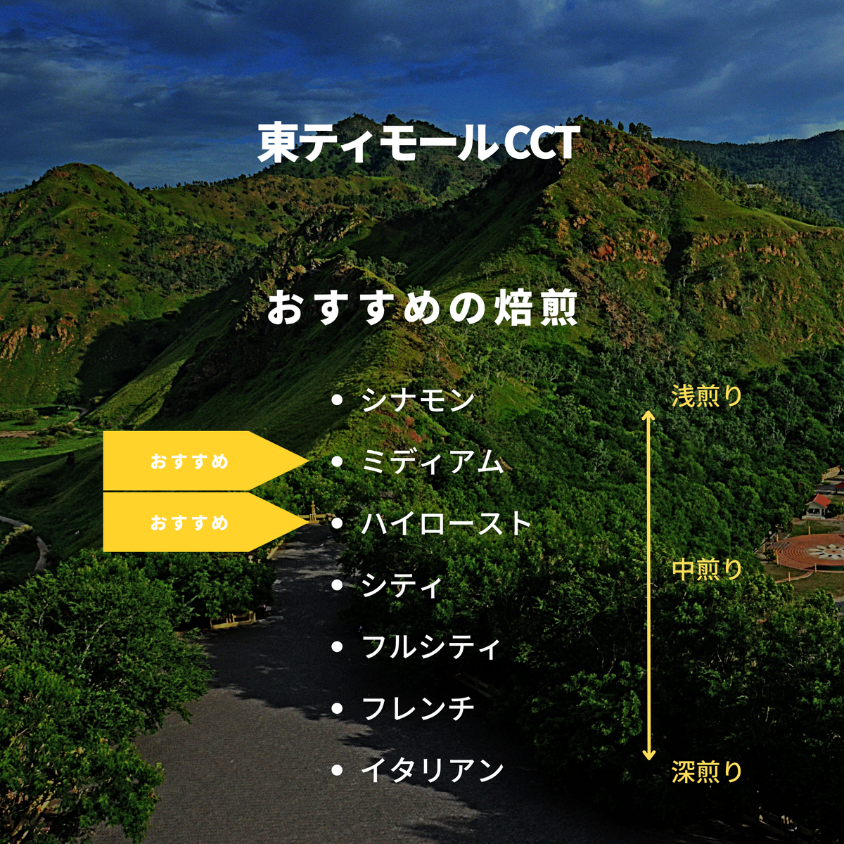 東ティモール CCT