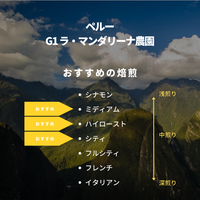 ペルー G1 ラ・マンダリーナ農園