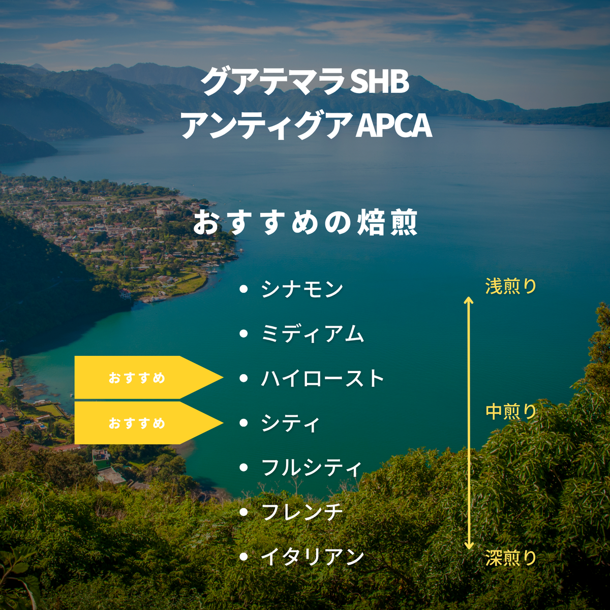 グアテマラ SHB アンティグア APCA
