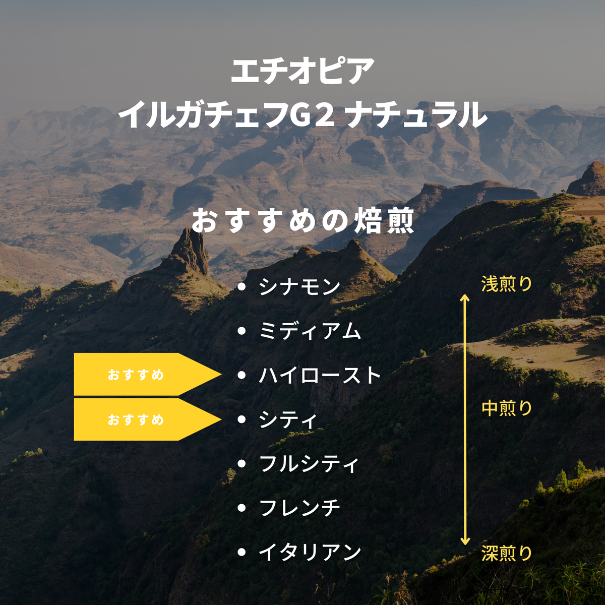 エチオピア イルガチェフG２ ナチュラル