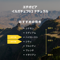 エチオピア イルガチェフG２ ナチュラル
