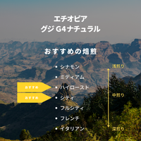 エチオピア グジG4ナチュラル