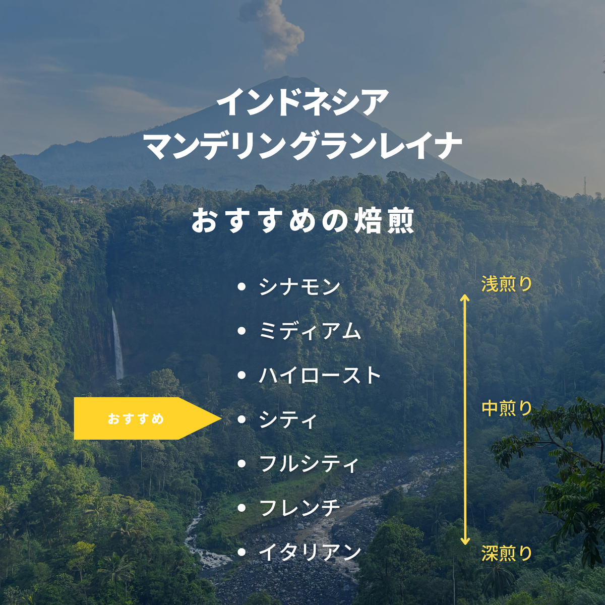 インドネシア マンデリン グランレイナ